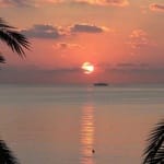 Emilia Barrera avatar